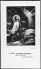 DE BLONDE PALMYRA MARIA (Verslype Marcel) front.jpg