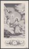 DESCAN Alois (Seys Zoe) front.jpg